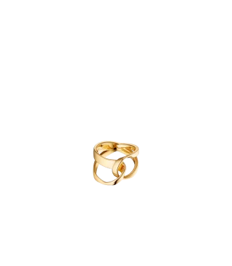 Éole Ring Edition vergoldet